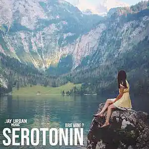 Picture for song 'Serotonin (Chill Dance x Deep House Type Beat)' by artist 'JayUrbanMusic'