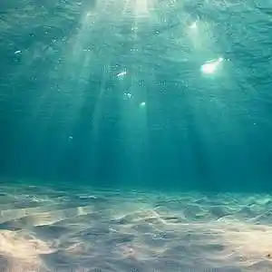 Picture for song 'Inescapable (remix)' by artist 'Johanna Renfro'