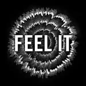 Picture for song 'Feel It' by artist 'Joshua South'