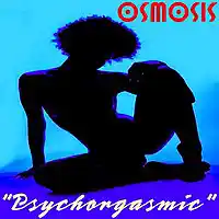 Picture for song 'OSMOSIS - Psychorgasmic (Radio Version)' by artist 'Lawrence Wise And The Cosmic Funk Orchestra OSMOS'