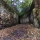 Picture for song 'falling leafs' by artist 'McGees Beats'