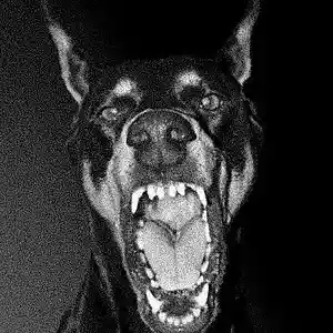 Picture for song 'conway type beat' by artist 'M.Groovee'