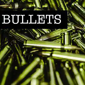 Picture for song 'Bullets' by artist 'PKS Beatz'