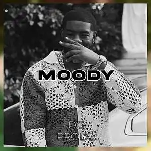 Picture for song 'AFRO - Moody' by artist 'ProdByDGProductions'