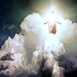 Picture for song 'LATTER REIGN' by artist 'Rosa A. Banks'