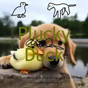 Picture for song 'Plucky Duck' by artist 'Alex Dionisio'