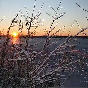 Picture for song 'Winter' by artist 'Andi Wendt'