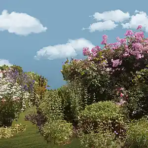 Picture for song 'Water The Garden' by artist 'Anthony Louis Johnson'