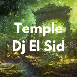 Picture for song 'Temple (Tory Lanez Type Beat)' by artist 'Dj El Sid'