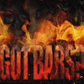 cover pic