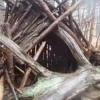 Picture for song 'Have We Gone Too Far' by artist 'Leonard Scaper'