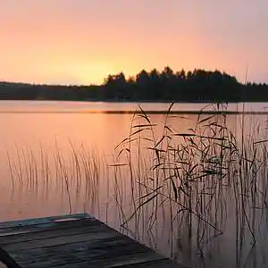 Picture for song 'Dawn (BUY 1 GET 1 FREE)' by artist 'Lil Light'