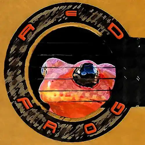 Picture for song 'Criminal' by artist 'RED FROG'