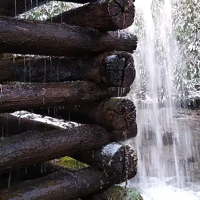 Picture for song 'night rain techno remix' by artist 'Seth Holiday'