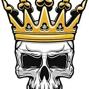 Picture for song 'SouthSide King SkyHigh Production' by artist 'SkyHigh Production'