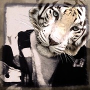 Picture for song '17_Drug_Store_pt_2' by artist 'Lil Chapz'