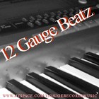 Picture for song 'The Peace Pipe' by artist '12 Gauge Beats'