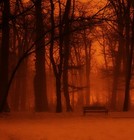 Picture for song 'Where did she go?' by artist '1O1 (kal-el)'