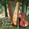 Picture for song 'Joe Cooley's Reel' by artist 'Adagio Trio'