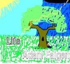 Picture for song 'Adam Faigen - Concentration' by artist 'Adam Faigen'