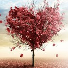 Picture for song 'Fruit of the Spirit' by artist 'AGAPE (US)'