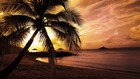 cover pic