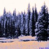 Picture for song 'Taiga' by artist 'Alex Spalding'