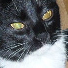 Picture for song 'Roggbif' by artist 'Alextwokay'