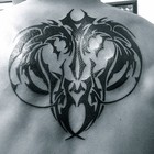 Picture for song '06 The Guy With The Dragon Tattoo' by artist 'Alex Tyte'