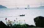 Picture for song 'I Told You (Bay Area)' by artist 'Algorhythmic Productions'