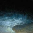 Picture for song 'Pim2' by artist 'Alikas'