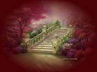 Picture for song 'Passaro do Sol' by artist 'Andre dos Arcanos'