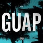 Picture for song 'GUAP *FREE DL*' by artist 'Animated Musik'