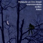 Picture for song '001 - activista institucional' by artist 'animinimalista'