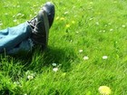Picture for song 'Grass Colored Shoes' by artist 'Anomelody'