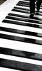 Picture for song 'Walking on piano keys' by artist 'Equanimity'