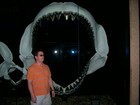 Picture for song 'Catfish Bones' by artist 'Apollo Fallout'