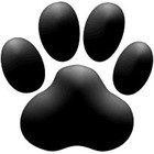 Picture for song 'jack feat nasty dogg - JACK' by artist 'arlequin'