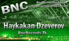Picture for song 'Bnc - Haykakan dzeverov ( in armenian )' by artist 'Armanian Rapper BNC'