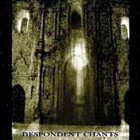 Picture for song 'Despondent Chants (PERU) - Silent fields' by artist 'Asfigmia'