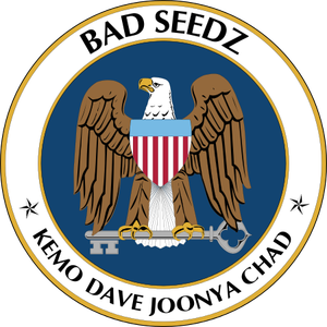 Picture for song 'Mandatory Jam Session' by artist 'Bad Seedz'