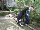 Picture for song 'Buratchingan' by artist 'Baguio's Pride'
