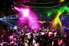 Picture for song 'Rave-It' by artist 'BASSOTRONICS'