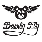 Picture for song 'R&B Fire - Deep' by artist 'Bearly Fly'