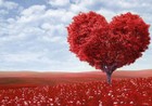 Picture for song '...::: New Love :::... (FREE DOWNLOAD)' by artist 'Beatlab 7 Productionz'