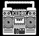 Picture for song 'IceBox ( .75 Cent Demo DL )' by artist 'Beats By Young'