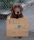 Picture for song 'LOVE ~ Fitz Bros ..4:40 ..1993 Demo' by artist 'Bella and Music Boy'