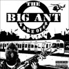Picture for song 'Aint Nothin Nice' by artist 'Big Ant aka Anthony Soprano'