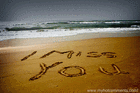 Song picture