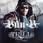 Picture for song 'Trill Talk (Gangsta Dirty South) *Free Download*' by artist 'Big Bully Organization'